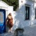 bodrum gezilecek yerler