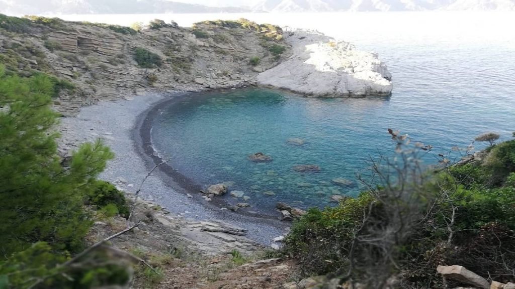 baklabükü koyu
